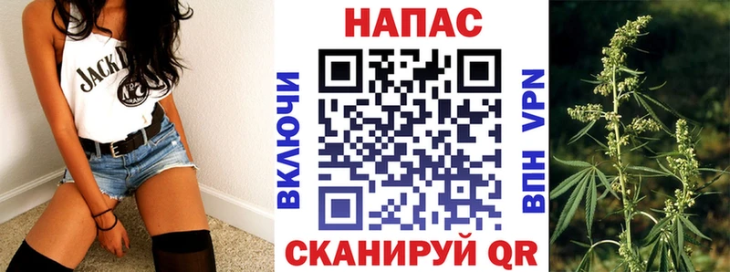 как найти наркотики  Тогучин  Марихуана OG Kush 
